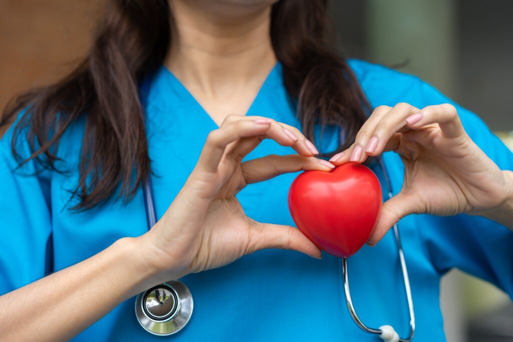 Female Cardiovascular Disease Doctor Or Cardiologist With Stethoscope Holding Red